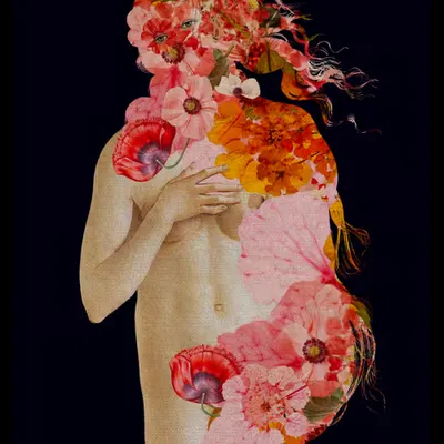 Cutout Venus 