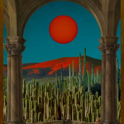 Cactus