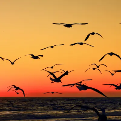 Sunset at Malibu Beach, CA