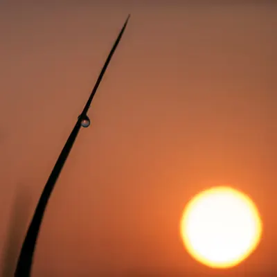 First Light