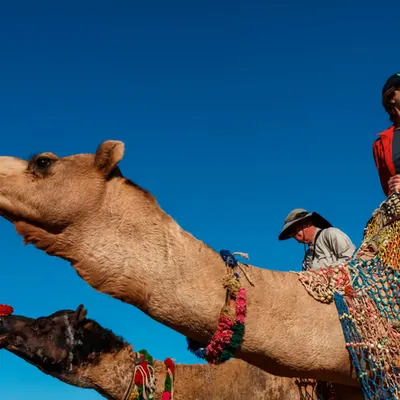 Camel Ride