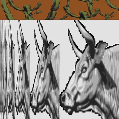 rodeo