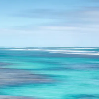 Reef