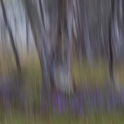 Purple Feet