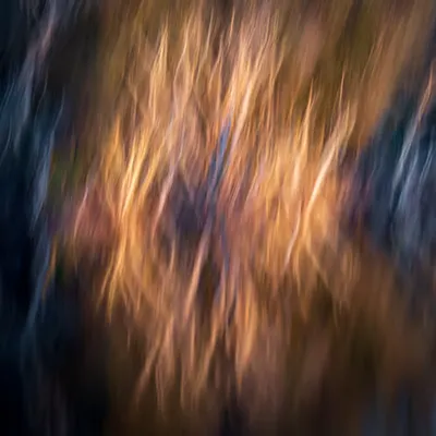 The Portal