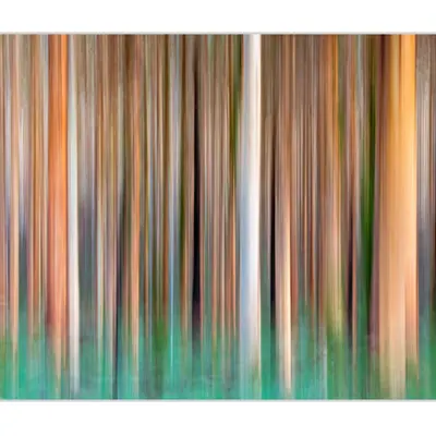 ICM Triptych