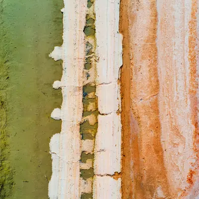 Alien Tracks