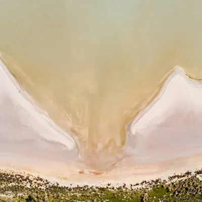 Natures Abstracts