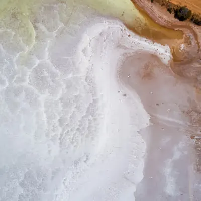 The Seahorse