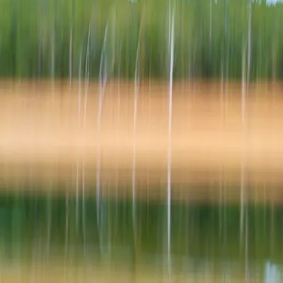 Reflection