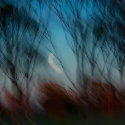 Moonset at Sunrise