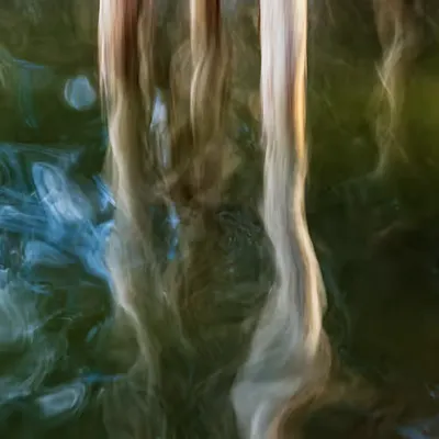 Dissolved in Nature