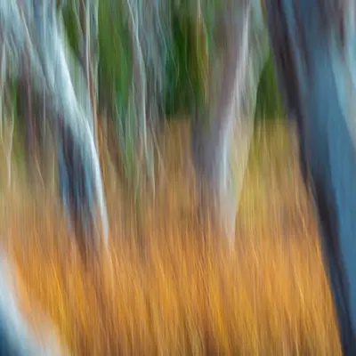 Wimmera