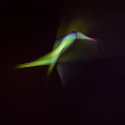 The Hummingbird