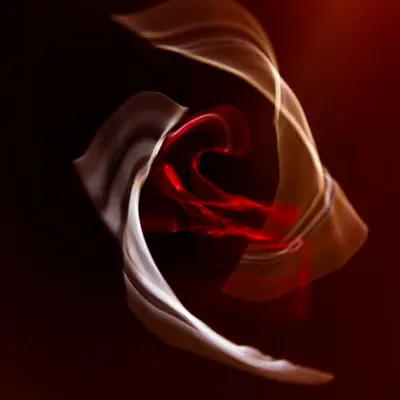 Dance of the Veils