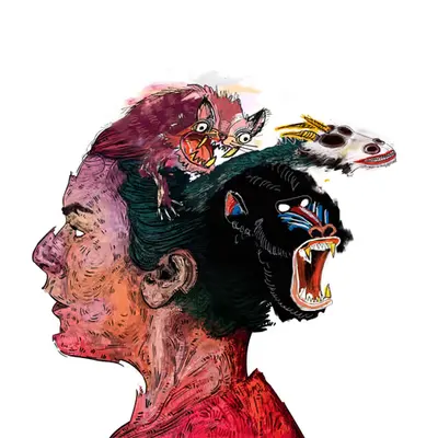 #78 Magic Cat, fantastic dragon & Baboon