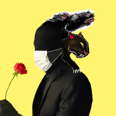 #96 Black horse & black panther