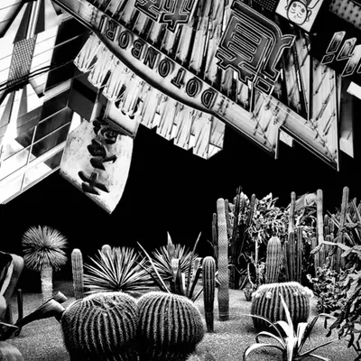 Flight 32: Marrakesh - Osaka