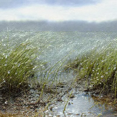 Spring impressionism (11)