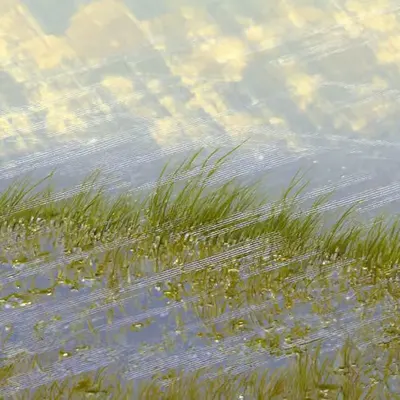 Spring impressionism (2)