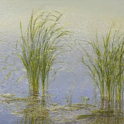 Spring impressionism (20)