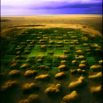 the GRID #7