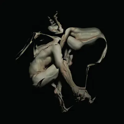 MORPHOSTRUCTURE