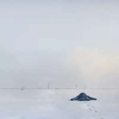 Yesterday I Flew Away