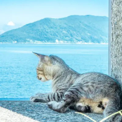 Living with Blue