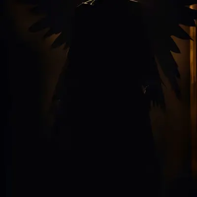 Guardian angel 