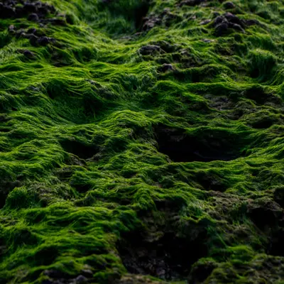 another world