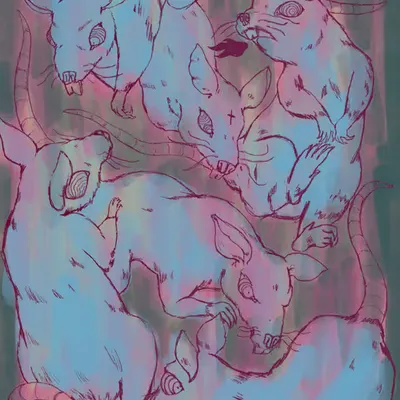 MEANWHILE, RATS