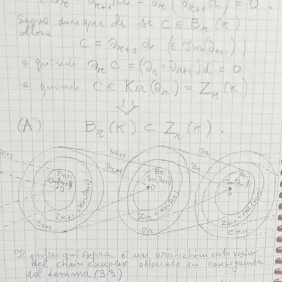 Differential Geometry - Homotopy
