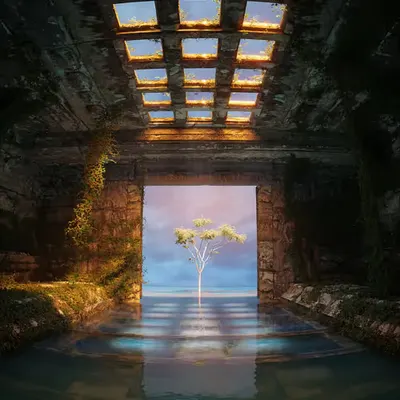 Somewhere #1/15