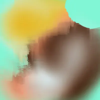 Internal Reflector #11