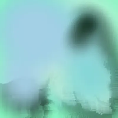 Internal Reflector #17