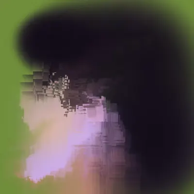 Internal Reflector #19