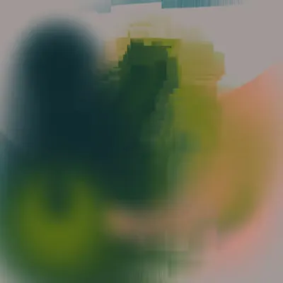 Internal Reflector #23