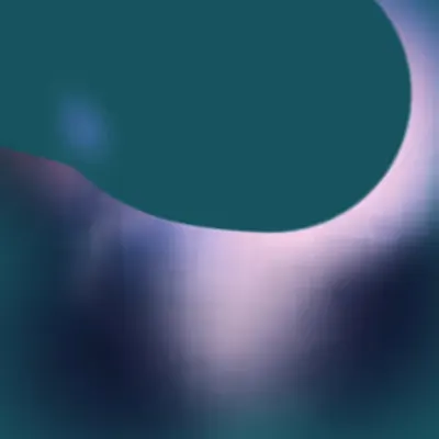 Internal Reflector #24