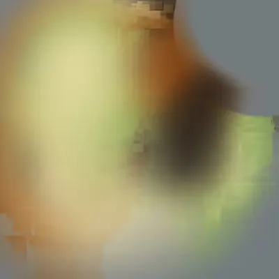 Internal Reflector #4
