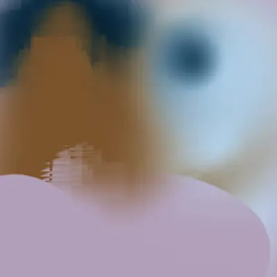 Internal Reflector #46