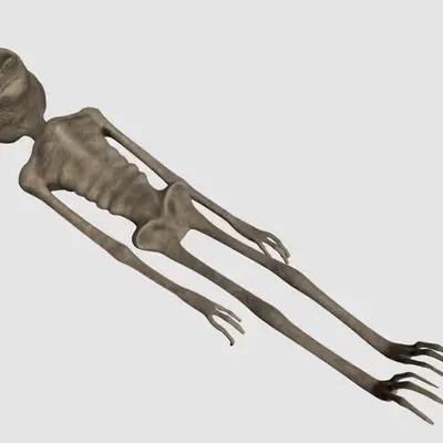 Alien Mexican 3D