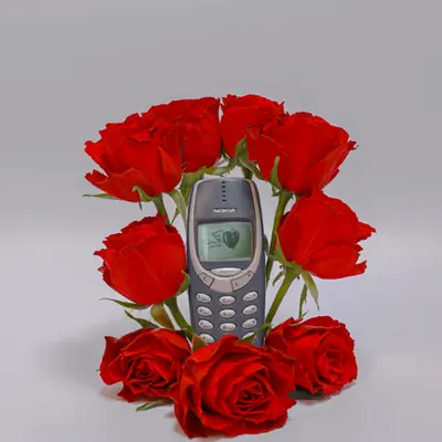I think I should call her…