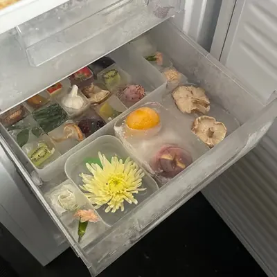 What’s in your fridge ?