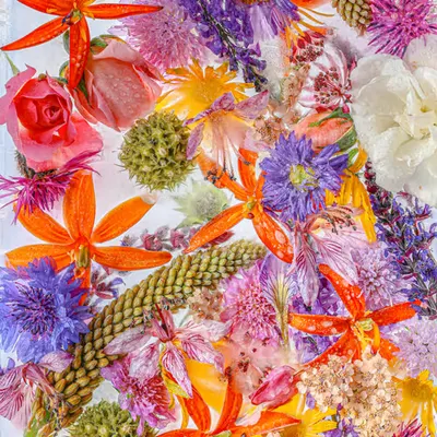 Flower Blocks 