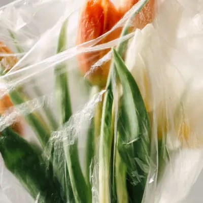 Wrapped Tulips
