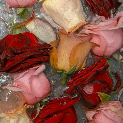 'Romance' Token