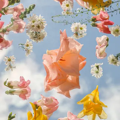 Lift Me Up