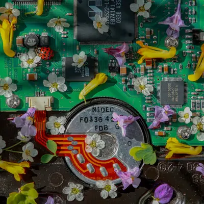 Inside My Hardrive