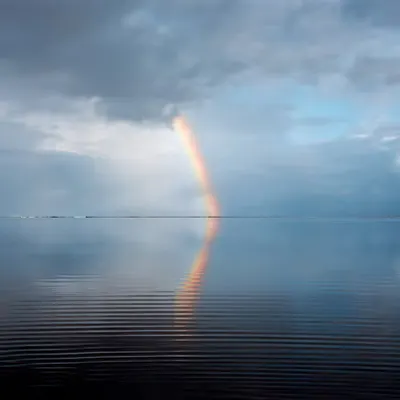 Island, 2011